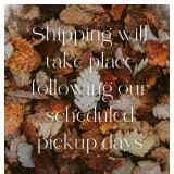 Shipping Information