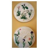 2pc Wild Thyme Thermometer & Clock