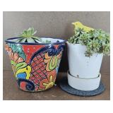 2 Potted Common Houseleek Plants w/ Planters