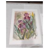 Iris Prints