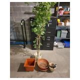 Flower Pots and Fake Tree