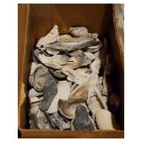 Box of Sea Shells