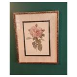 Rose Gallica Art Work By P J