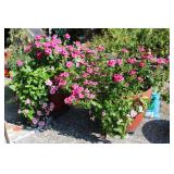 2pc. 21" Flower Vases w/ Flowers
