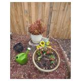Potted Plants & More