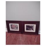 2 French Inspired Framed Prints