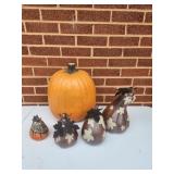 Pumpkin and Gord Assortment