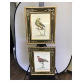 Pair of 20th Century Prints of Parrots