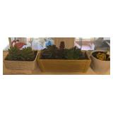 3 Planters