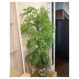 Large artificial Plant