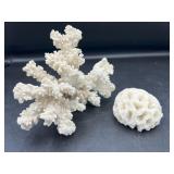 White Coral Cluster & Honeycomb Coral