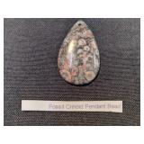 Fossil Crinoid Pendant Bead