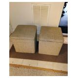 2 Wicker Style Storage Containers