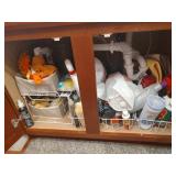 Contents of Cabinet Under the Sink