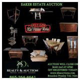Auction Flyer