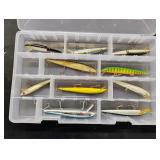 10 Jerkbaits in BPS Box