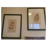 2pc Framed Pressed Leaves