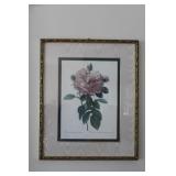 Vintage "The Rose" by Pierre-Joseph Redoute Framed