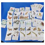54 Coca Cola "World of Nature" Cards