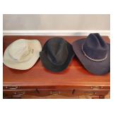 2 Tilley Hats, 1 Great West Cowboy Hat