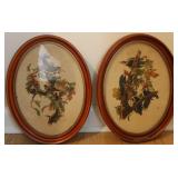 Vintage Woodpecker & Robin Prints Framed Vintage Woodpecker & Robin Prints Framed