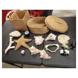 Collection of Shells and More