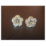 925 Silver Earrings