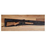Daisy Red Rider BB Gun with Case