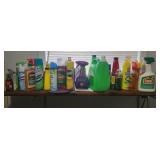 Cleaning Supplies Assortment