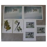 Collection of Birds in Nature Prints