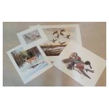 Wildlife Prints - Elliott