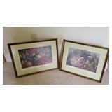Framed Fruit Prints