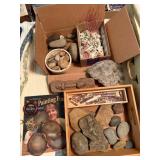Collection of Rocks, Seashells, and Lin Wellford B