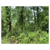 Adjoining Parcel -  .5 acre(approx)