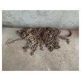 Several Fragments of Chain