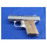 Raven Arms P25