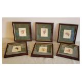 6 Fruit Prints with Matching Frames & Undger Glass