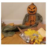 Bee Party & Pumpkin Skeleton
