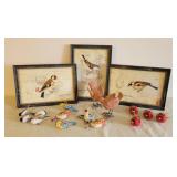Bird Pictures & Figures