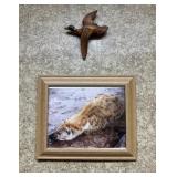 Framed Wildlife Photos and Artwork