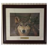 Framed Wolf Wilderness Print by Loomis25×21