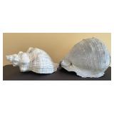 2 Large Decorative Conch Sea Shells 2 Large Decorative Conch Sea Shells