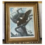 Framed Bald Eagle Print by Richard Sloan Framed Bald Eagle Print by Richard Sloan