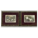 2 Dogwood Flowers Framed Prints 2 Dogwood Flowers Framed Prints