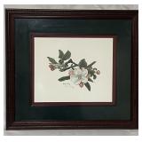 "Apple Blossoms" Limited Edition Framed Print "Apple Blossoms" Limited Edition Framed Print