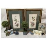 Set of 2 Hummingbird Floral Framed Prints by Set of 2 Hummingbird Floral Framed Prints by