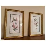 2 Hummingbird Prints by Carolyn Shores Wright