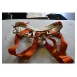 Harness