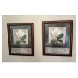 Framed Floral Prints
