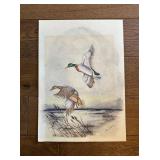 Fern Lockhart Original Watercolorï¿½11ï¿½15.25